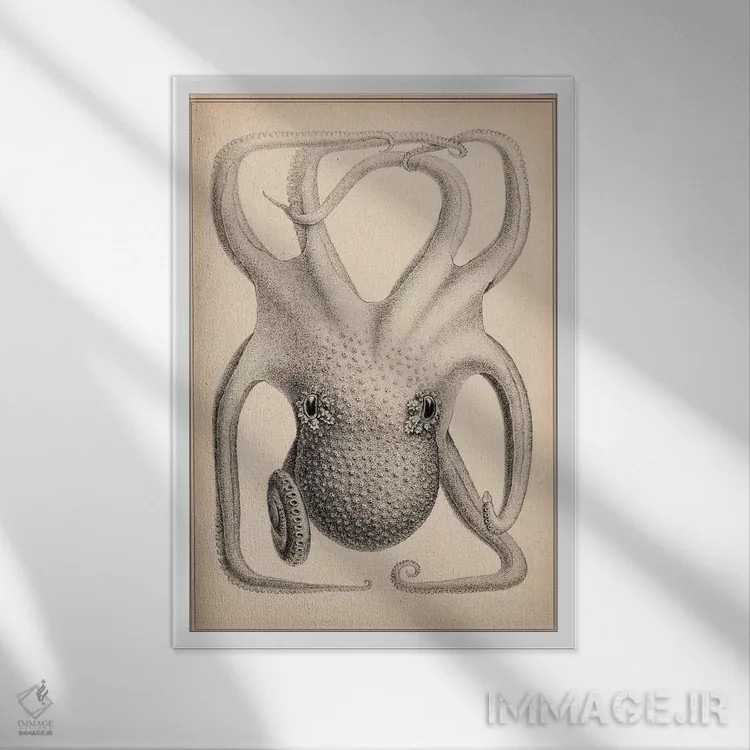 تابلو سرپاوگان جزایر هاوایی اثر استیلمن - نمای قابدار سفید