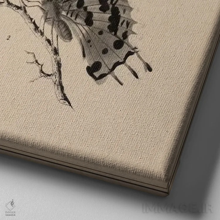 تابلو نقاشی علمی پروانه قدیمی اثر هنرمند ناشناس - نمای نزدیک بافت بوم