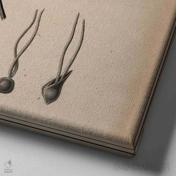 تابلو نقاشی علمی شاهدانه نر اثر هنرمند ناشناس - نمای نزدیک بافت بوم