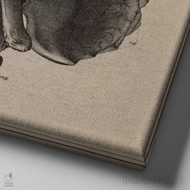 تابلو آناتومی جمجمه تریسراتوپس اثر هنرمند ناشناس - نمای نزدیک بافت بوم