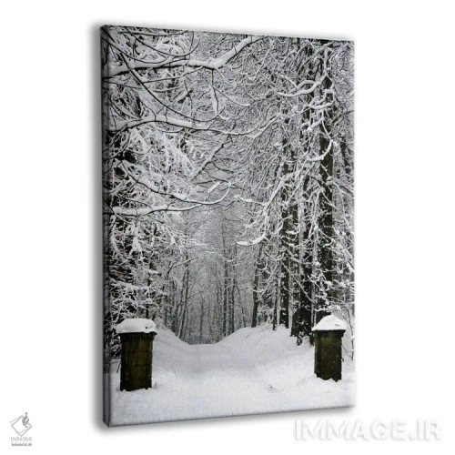 تابلو فصل زمستان اثر هنرمند ناشناس - نمای پرسپکتیو محصول