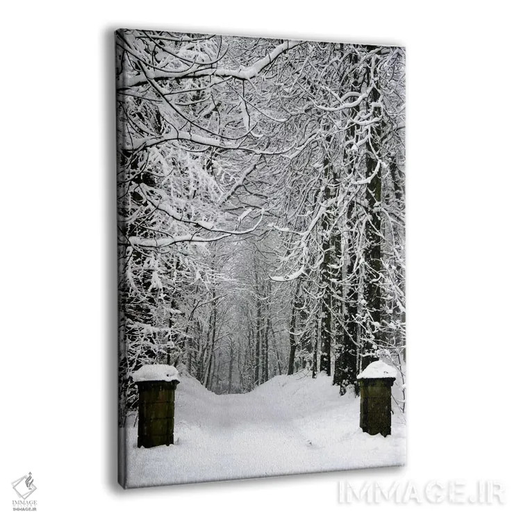 تابلو فصل زمستان اثر هنرمند ناشناس - نمای پرسپکتیو محصول