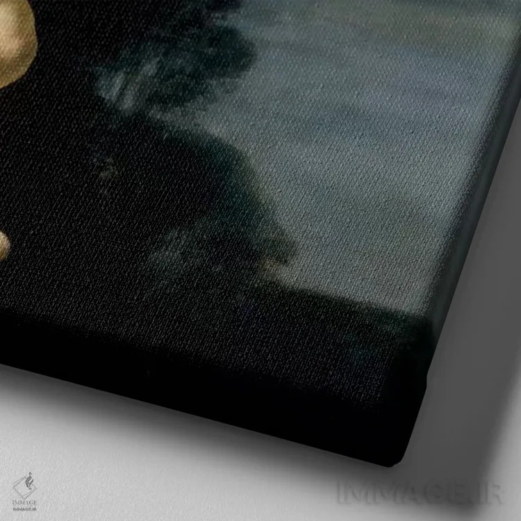 تابلو ربوده شدن گانیمد اثر رمبرانت فان رَین (نقاش بزرگ هلندی) - نمای نزدیک بافت بوم