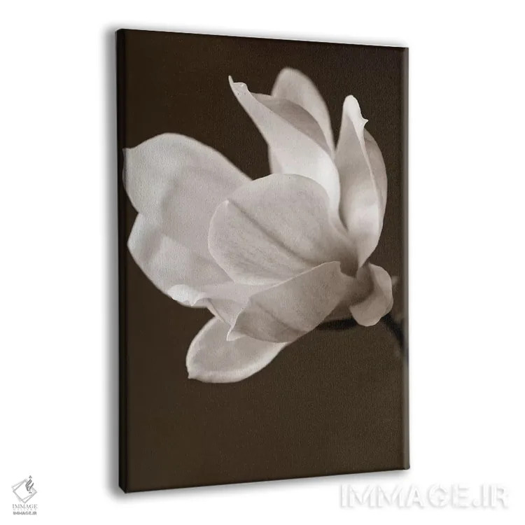 تابلو مگنولیا با رنگ سپیا اثر سیمپوزیوم دیزاین (استودیوی طراحی) - نمای پرسپکتیو محصول