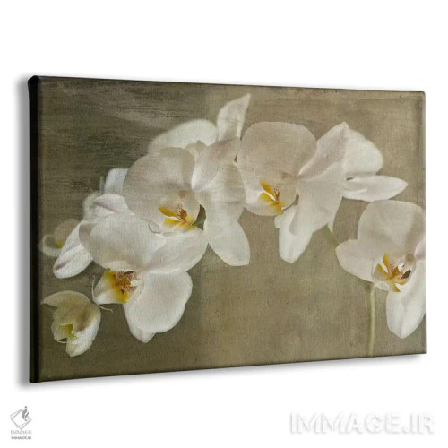 تابلو ارکیده نقاشیشده اثر سیمپوزیوم دیزاین (استودیوی طراحی) - نمای پرسپکتیو محصول