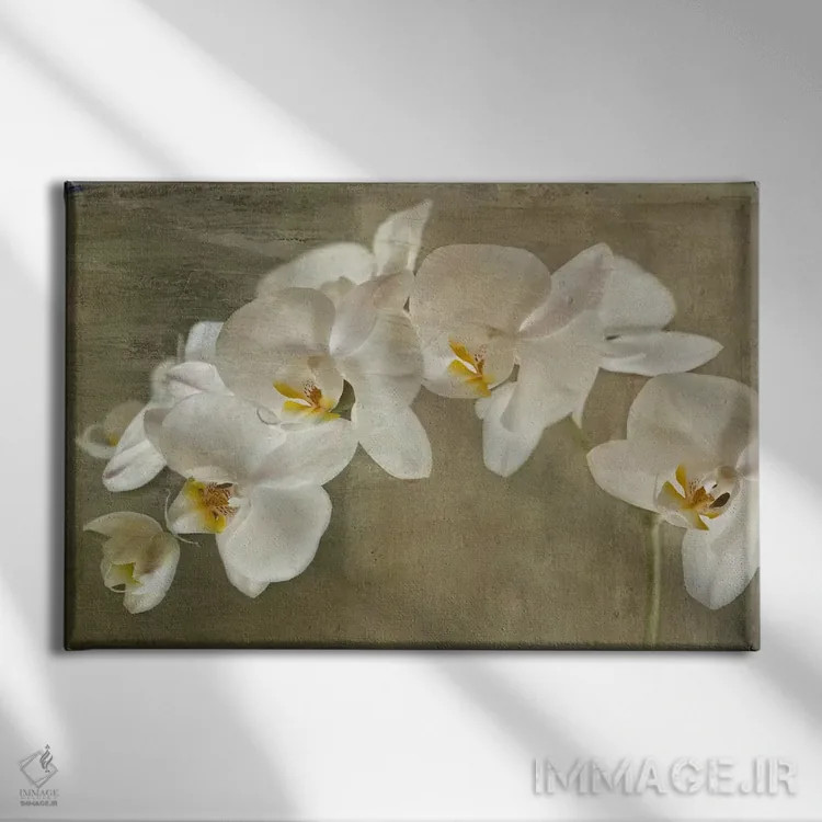 تابلو ارکیده نقاشیشده اثر سیمپوزیوم دیزاین (استودیوی طراحی) - نمای روبهرو روی دیوار