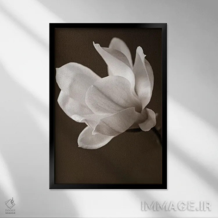 تابلو مگنولیا با رنگ سپیا اثر سیمپوزیوم دیزاین (استودیوی طراحی) - نمای قابدار مشکی
