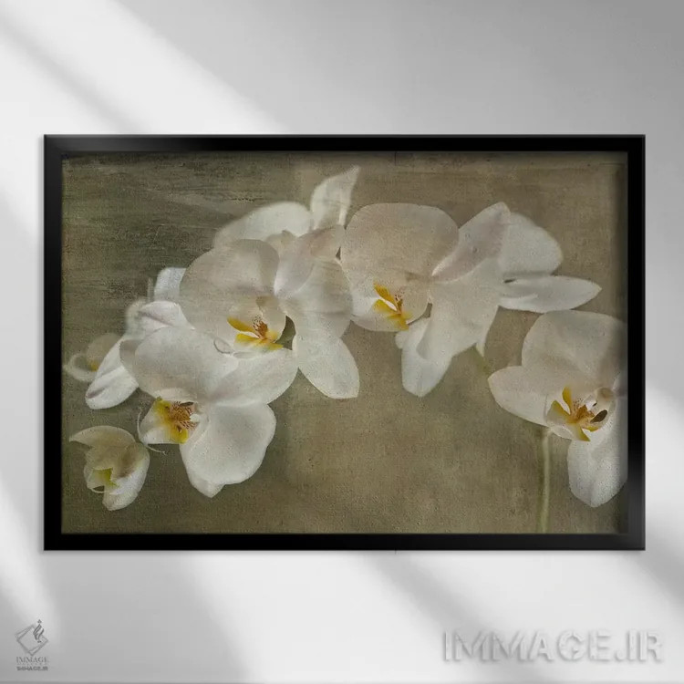 تابلو ارکیده نقاشیشده اثر سیمپوزیوم دیزاین (استودیوی طراحی) - نمای قابدار مشکی