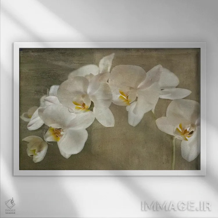تابلو ارکیده نقاشیشده اثر سیمپوزیوم دیزاین (استودیوی طراحی) - نمای قابدار سفید
