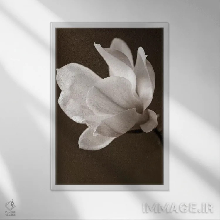 تابلو مگنولیا با رنگ سپیا اثر سیمپوزیوم دیزاین (استودیوی طراحی) - نمای قابدار سفید