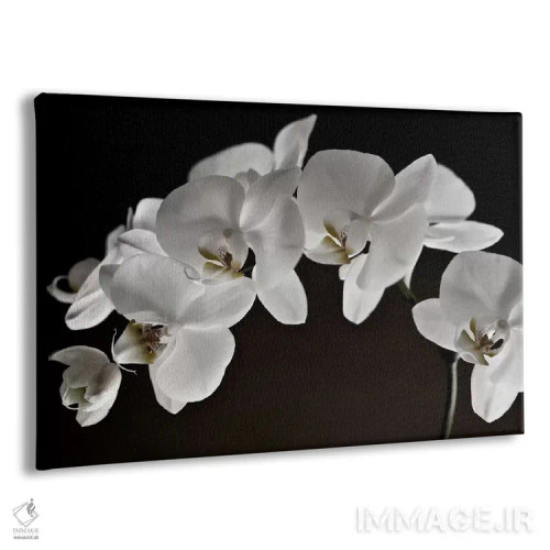 تابلو ارکیدهها اثر سیمپوزیوم دیزاین (استودیوی طراحی) - نمای پرسپکتیو محصول