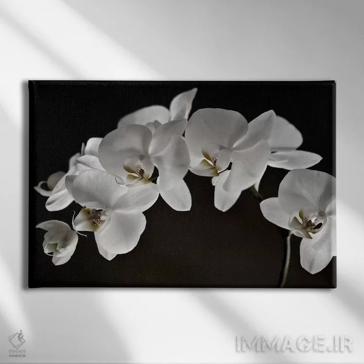 تابلو ارکیدهها اثر سیمپوزیوم دیزاین (استودیوی طراحی) - نمای روبهرو روی دیوار
