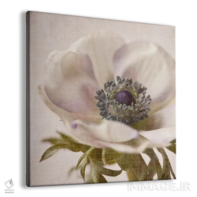 تابلو گل کتانی ۱ اثر سیمپوزیوم دیزاین (استودیوی طراحی) - نمای پرسپکتیو محصول