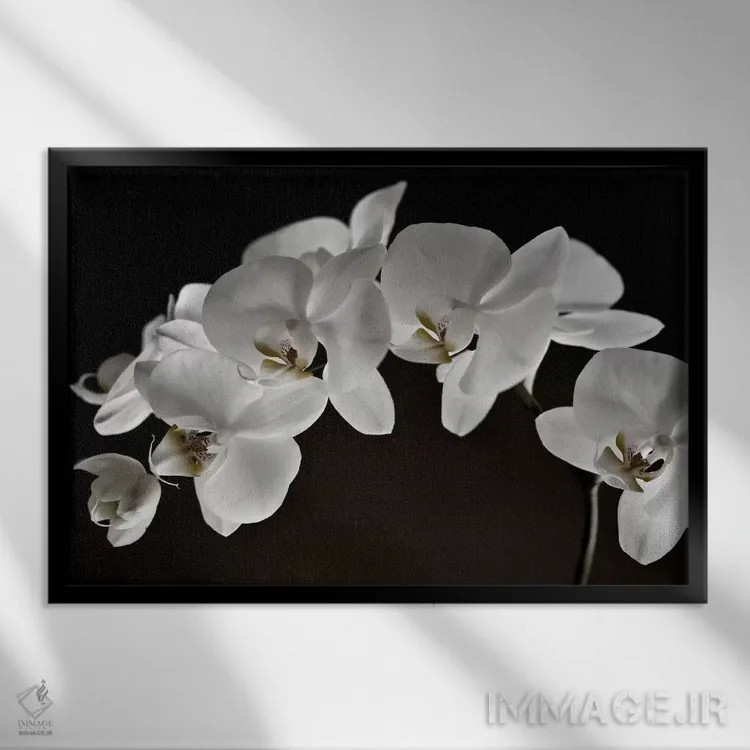 تابلو ارکیدهها اثر سیمپوزیوم دیزاین (استودیوی طراحی) - نمای قابدار مشکی