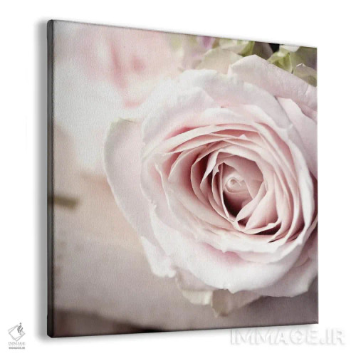 تابلو عکس گلهای قدیمی ۲ اثر سیمپوزیوم دیزاین (استودیوی طراحی) - نمای پرسپکتیو محصول