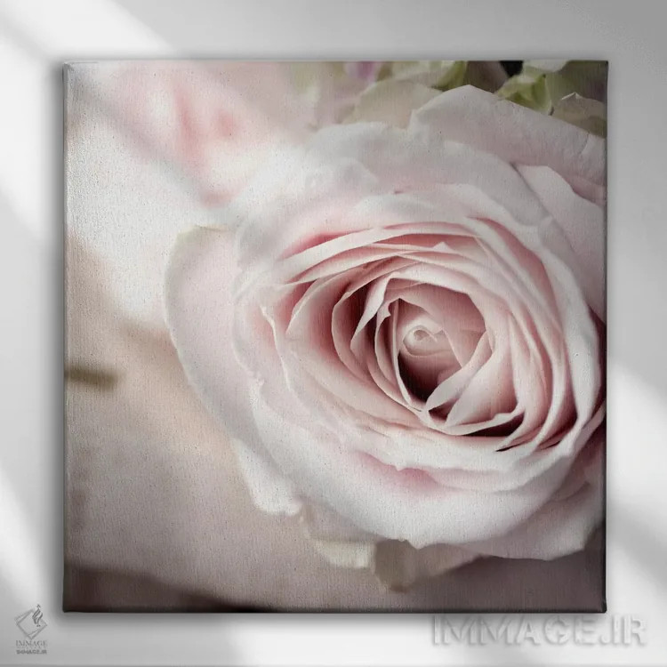 تابلو عکس گلهای قدیمی ۲ اثر سیمپوزیوم دیزاین (استودیوی طراحی) - نمای روبهرو روی دیوار