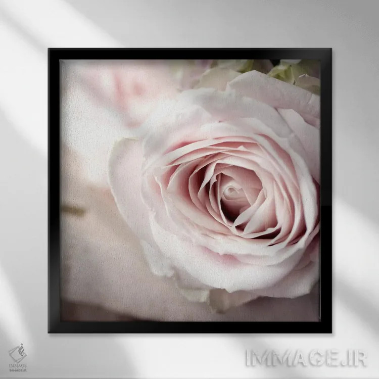 تابلو عکس گلهای قدیمی ۲ اثر سیمپوزیوم دیزاین (استودیوی طراحی) - نمای قابدار مشکی