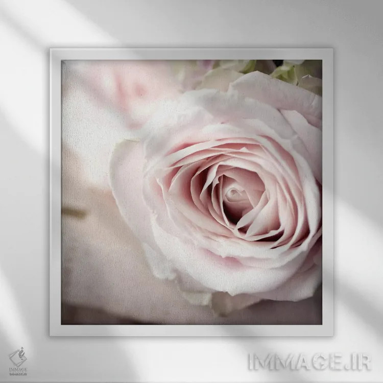 تابلو عکس گلهای قدیمی ۲ اثر سیمپوزیوم دیزاین (استودیوی طراحی) - نمای قابدار سفید