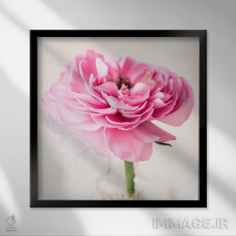 تابلو آلاله صورتی ۲ اثر سیمپوزیوم دیزاین (استودیوی طراحی) - نمای قابدار مشکی