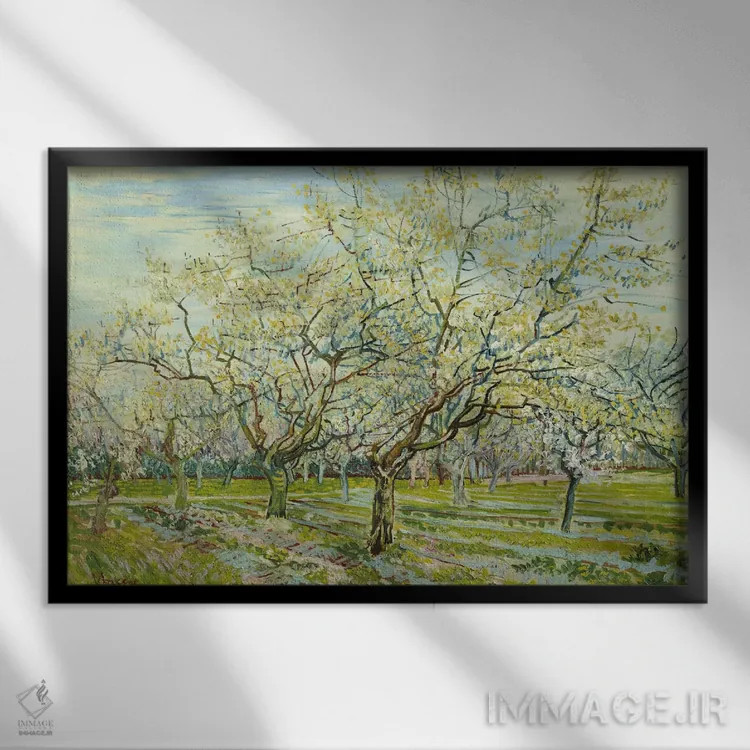 تابلو باغ سفید اثر ونسان ون گوگ (نقاش مشهور هلندی پستامپرسیونیسم) - نمای قابدار مشکی