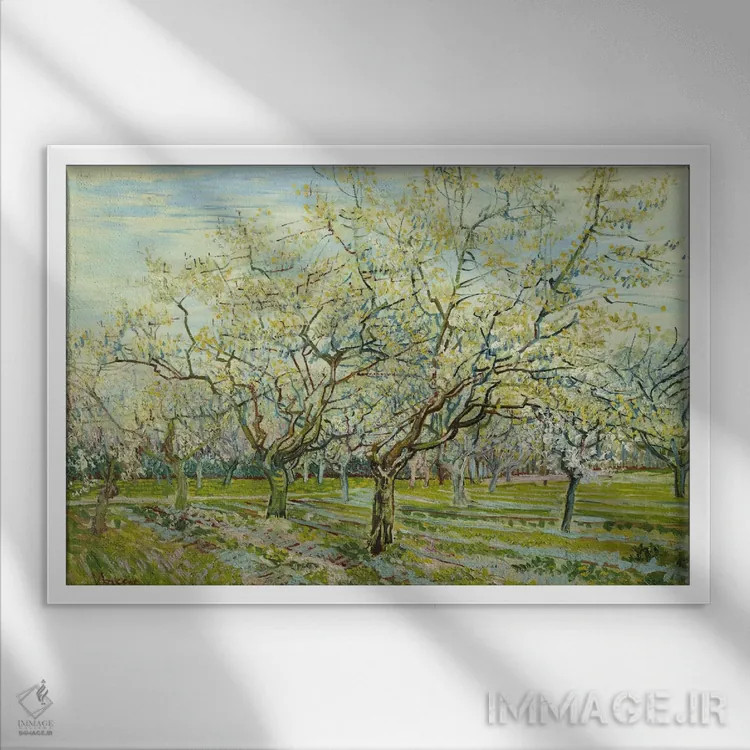 تابلو باغ سفید اثر ونسان ون گوگ (نقاش مشهور هلندی پستامپرسیونیسم) - نمای قابدار سفید