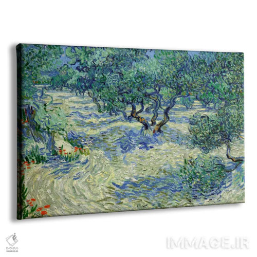 تابلو باغ زیتون اثر ونسان ون گوگ (نقاش مشهور هلندی پستامپرسیونیسم) - نمای پرسپکتیو محصول