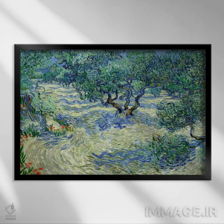 تابلو باغ زیتون اثر ونسان ون گوگ (نقاش مشهور هلندی پستامپرسیونیسم) - نمای قابدار مشکی