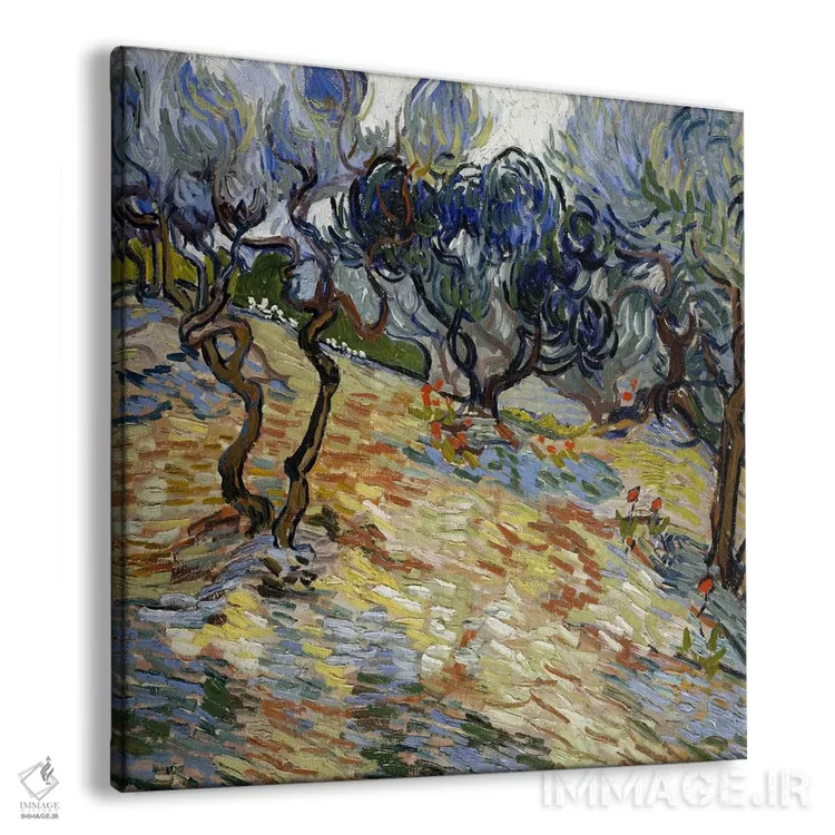 تابلو درختان زیتون اثر ونسان ون گوگ (نقاش مشهور هلندی پستامپرسیونیسم) - نمای پرسپکتیو محصول