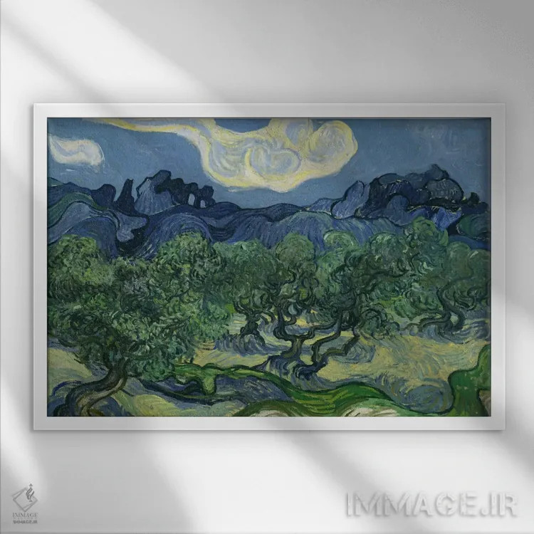 تابلو درختان زیتون با پسزمینه رشتهکوه آلپی اثر ونسان ون گوگ (نقاش مشهور هلندی پستامپرسیونیسم) - نمای قابدار سفید