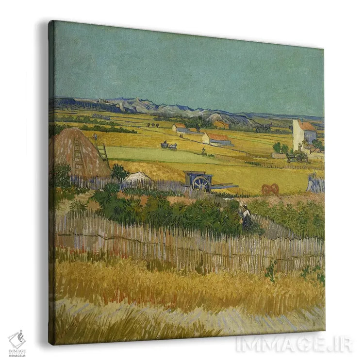 تابلو برداشت اثر ونسان ون گوگ (نقاش مشهور هلندی پستامپرسیونیسم) - نمای پرسپکتیو محصول