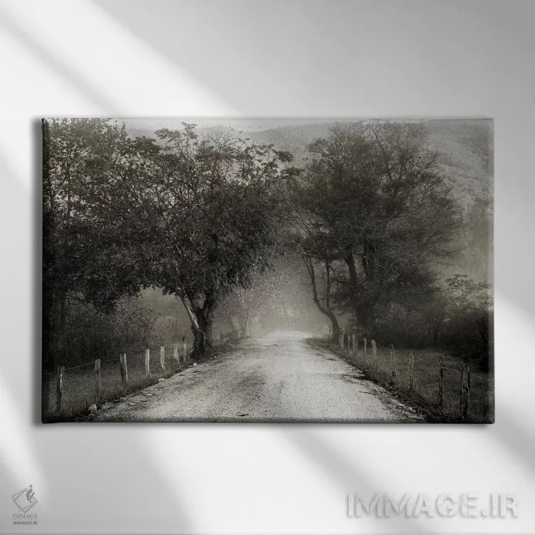 تابلو کوچه اسپارکس اثر عکاسی نیکلاس بل - نمای روبهرو روی دیوار