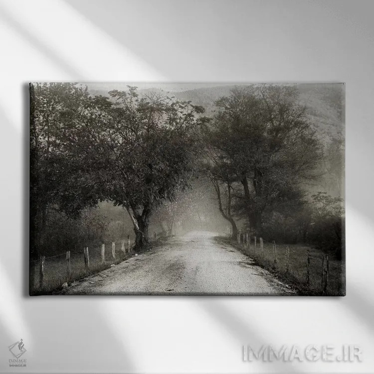 تابلو کوچه اسپارکس اثر عکاسی نیکلاس بل - نمای روبهرو روی دیوار