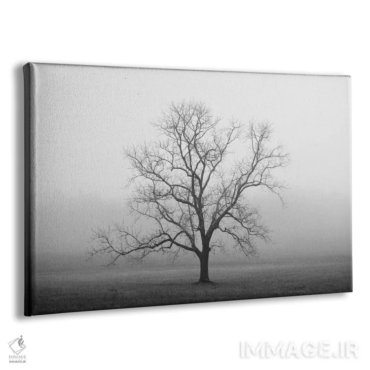 تابلو طلوع مخملی اثر عکاسی نیکلاس بل - نمای پرسپکتیو محصول