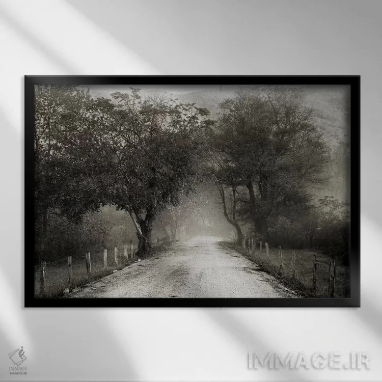 تابلو کوچه اسپارکس اثر عکاسی نیکلاس بل - نمای قابدار مشکی