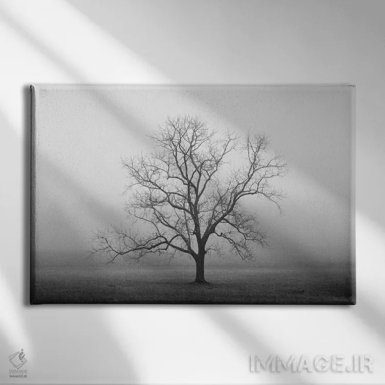 تابلو طلوع مخملی اثر عکاسی نیکلاس بل - نمای روبهرو روی دیوار