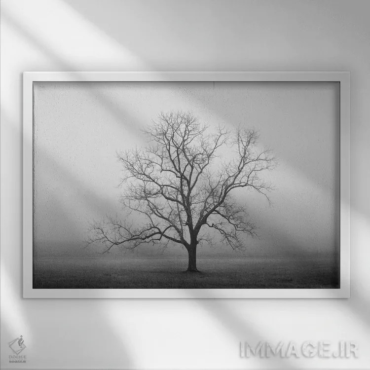 تابلو طلوع مخملی اثر عکاسی نیکلاس بل - نمای قابدار سفید