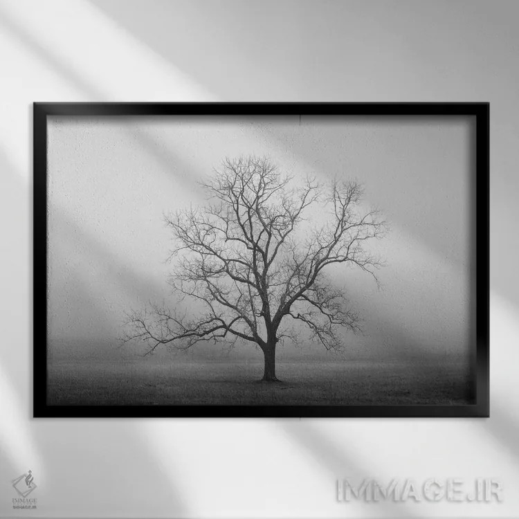 تابلو طلوع مخملی اثر عکاسی نیکلاس بل - نمای قابدار مشکی