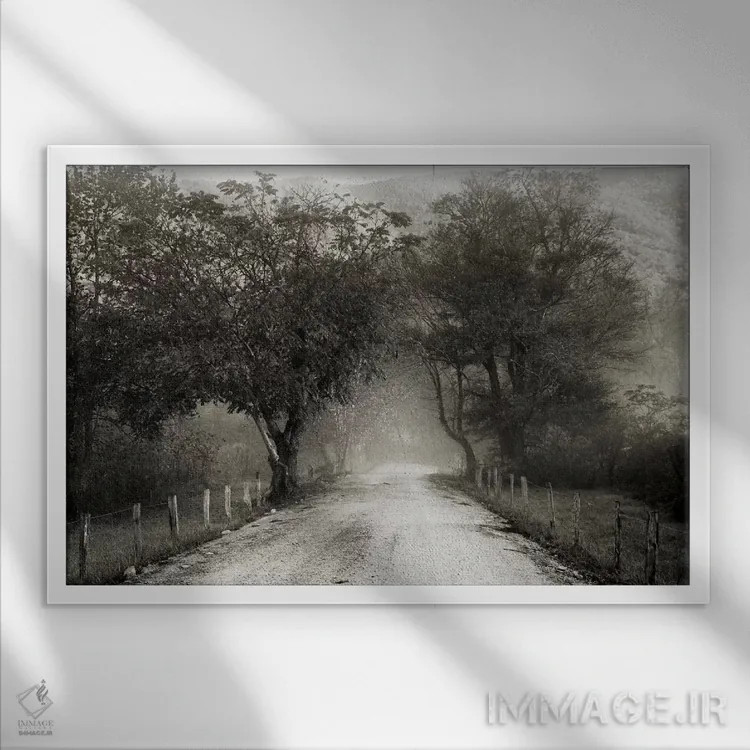 تابلو کوچه اسپارکس اثر عکاسی نیکلاس بل - نمای قابدار سفید