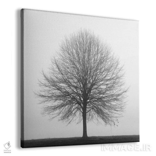 تابلو سهگانهٔ زمستانی ۱ اثر عکاسی نیکلاس بل - نمای پرسپکتیو محصول