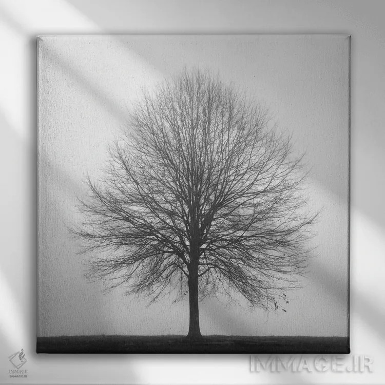 تابلو سهگانهٔ زمستانی ۱ اثر عکاسی نیکلاس بل - نمای روبهرو روی دیوار