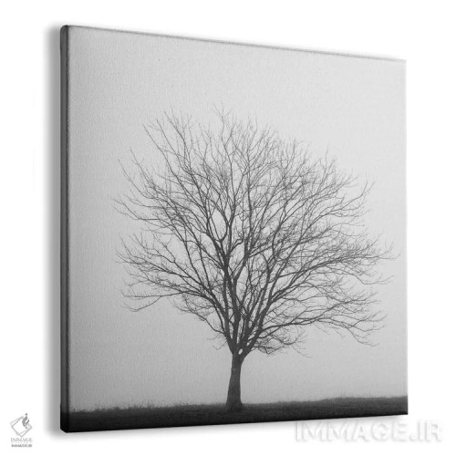 تابلو سهگانهٔ زمستانی ۲ اثر عکاسی نیکلاس بل - نمای پرسپکتیو محصول