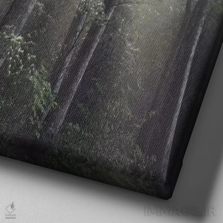 تابلو خورشید جنگل اثر عکاسی نیکلاس بل - نمای نزدیک بافت بوم