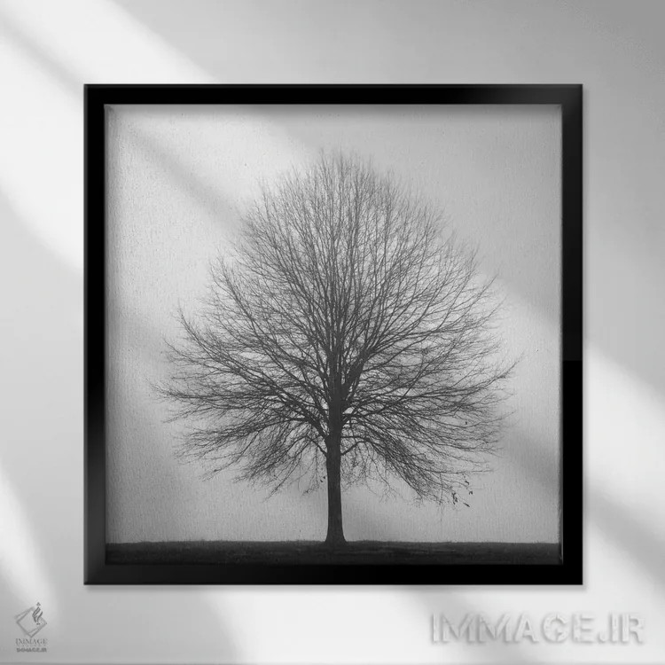 تابلو سهگانهٔ زمستانی ۱ اثر عکاسی نیکلاس بل - نمای قابدار مشکی