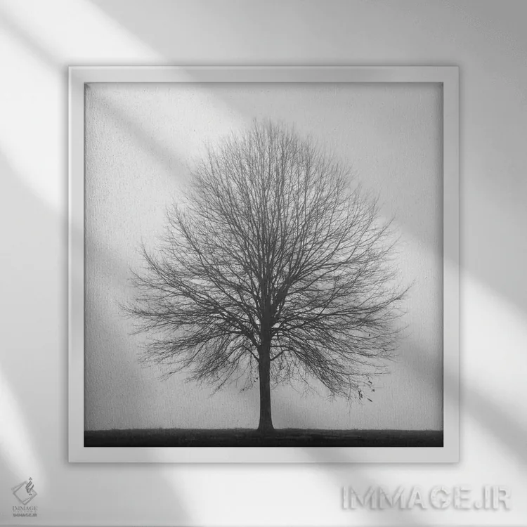 تابلو سهگانهٔ زمستانی ۱ اثر عکاسی نیکلاس بل - نمای قابدار سفید