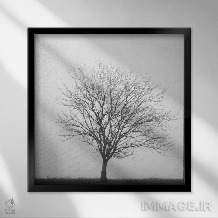 تابلو سهگانهٔ زمستانی ۲ اثر عکاسی نیکلاس بل - نمای قابدار مشکی