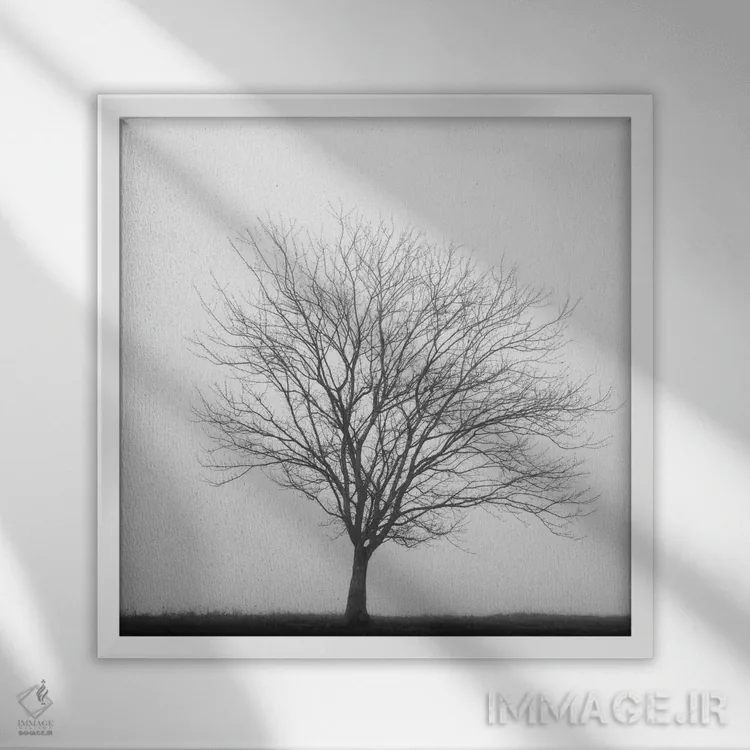 تابلو سهگانهٔ زمستانی ۲ اثر عکاسی نیکلاس بل - نمای قابدار سفید