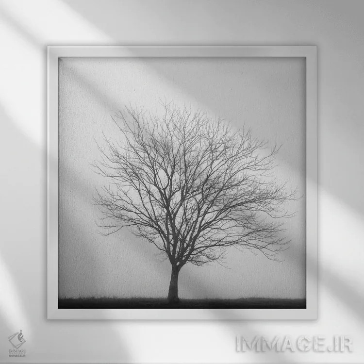 تابلو سهگانهٔ زمستانی ۲ اثر عکاسی نیکلاس بل - نمای قابدار سفید