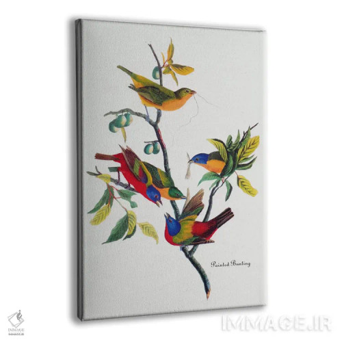 تابلو فنچ رنگارنگ اثر جان جیمز آدوبون (نقاش و پرندهشناس) - نمای پرسپکتیو محصول