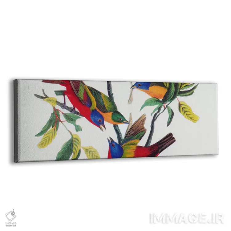 تابلو فنچ رنگارنگ اثر جان جیمز آدوبون (نقاش و پرندهشناس) - نمای پرسپکتیو محصول