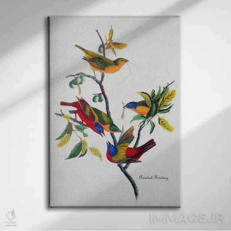 تابلو فنچ رنگارنگ اثر جان جیمز آدوبون (نقاش و پرندهشناس) - نمای روبهرو روی دیوار